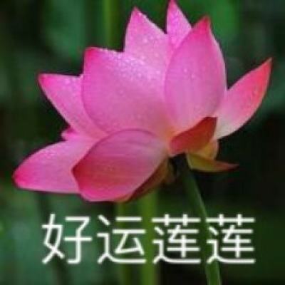 杂交水稻之父袁隆平：首届国家最高科学技术奖得主